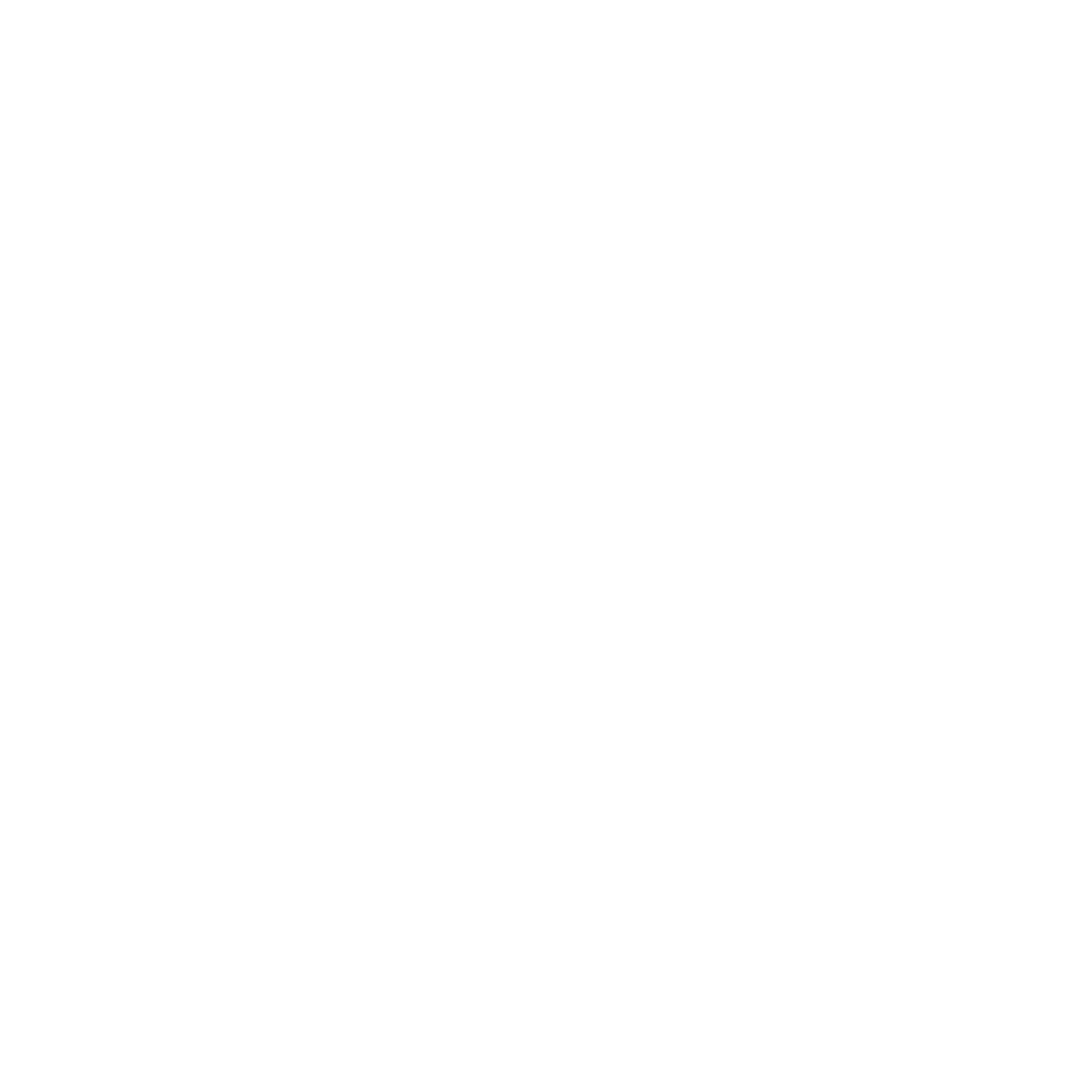 A white scallop shell.